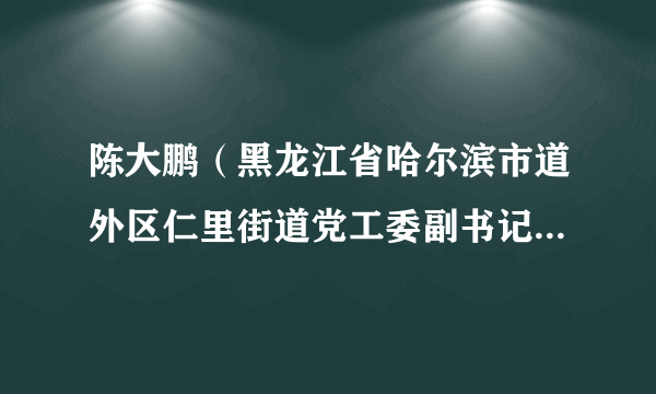 什么是陈大鹏（黑龙江省哈尔滨市道外区仁里街道党工委副书记、办事处主任）