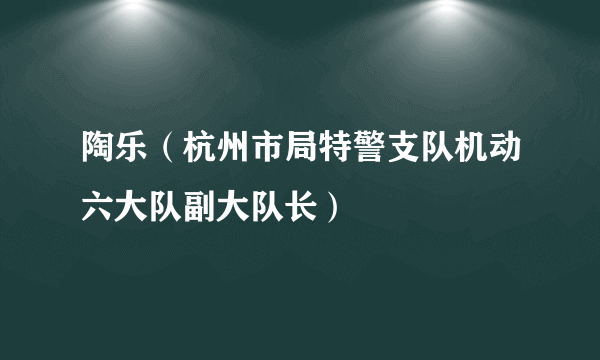 陶乐（杭州市局特警支队机动六大队副大队长）