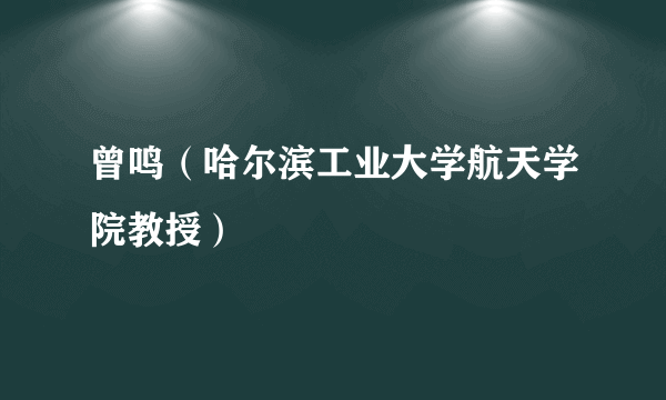 曾鸣（哈尔滨工业大学航天学院教授）