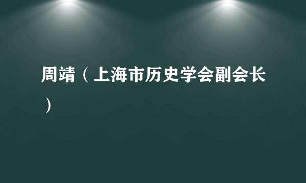 什么是周靖（上海市历史学会副会长）