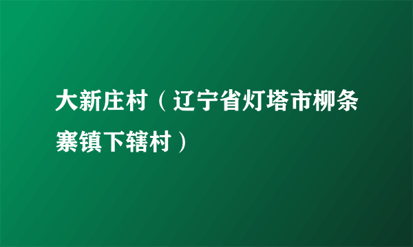 大新庄村（辽宁省灯塔市柳条寨镇下辖村）