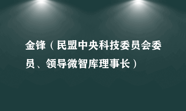 什么是金锋（民盟中央科技委员会委员、领导微智库理事长）