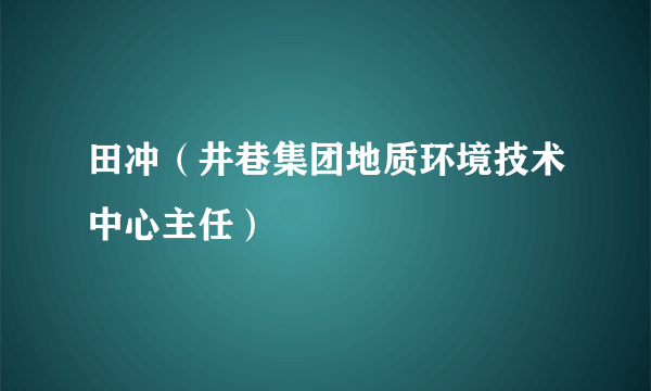 田冲（井巷集团地质环境技术中心主任）