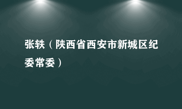 什么是张轶（陕西省西安市新城区纪委常委）