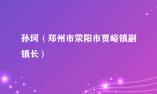 孙珂（郑州市荥阳市贾峪镇副镇长）