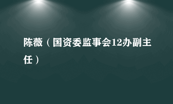 陈薇（国资委监事会12办副主任）