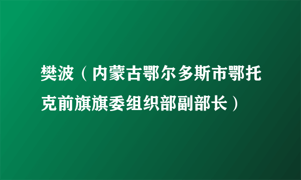 什么是樊波（内蒙古鄂尔多斯市鄂托克前旗旗委组织部副部长）