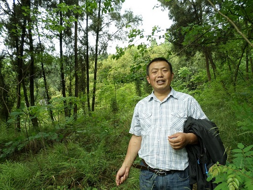 李全（云南大学化学科学与工程学院副教授）