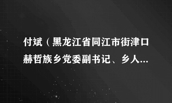 付斌（黑龙江省同江市街津口赫哲族乡党委副书记、乡人民政府乡长）