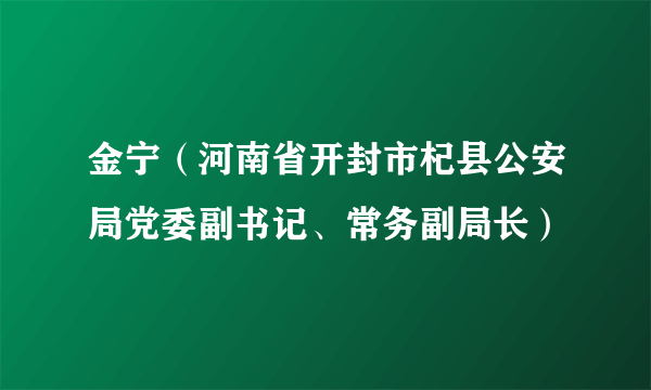 金宁（河南省开封市杞县公安局党委副书记、常务副局长）