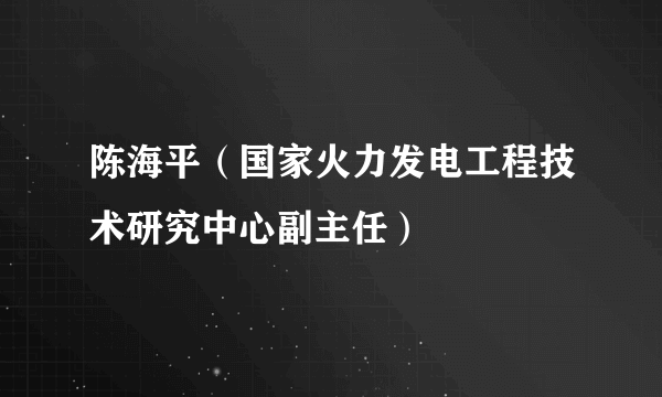 陈海平（国家火力发电工程技术研究中心副主任）