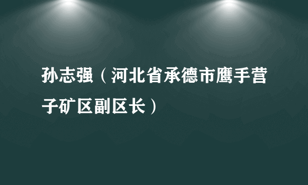 孙志强（河北省承德市鹰手营子矿区副区长）