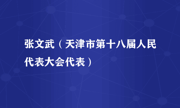 张文武（天津市第十八届人民代表大会代表）