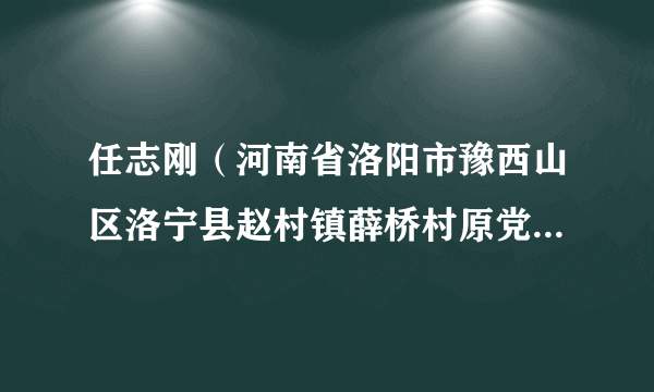 任志刚（河南省洛阳市豫西山区洛宁县赵村镇薛桥村原党支部书记、村委主任）