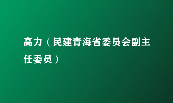 高力（民建青海省委员会副主任委员）