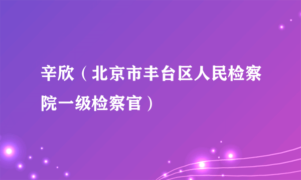 什么是辛欣（北京市丰台区人民检察院一级检察官）