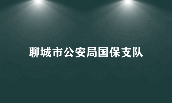 聊城市公安局国保支队