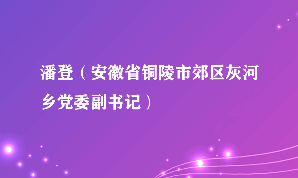 潘登（安徽省铜陵市郊区灰河乡党委副书记）