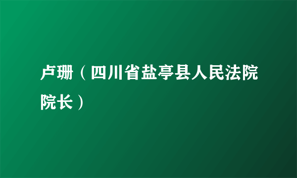 卢珊（四川省盐亭县人民法院院长）