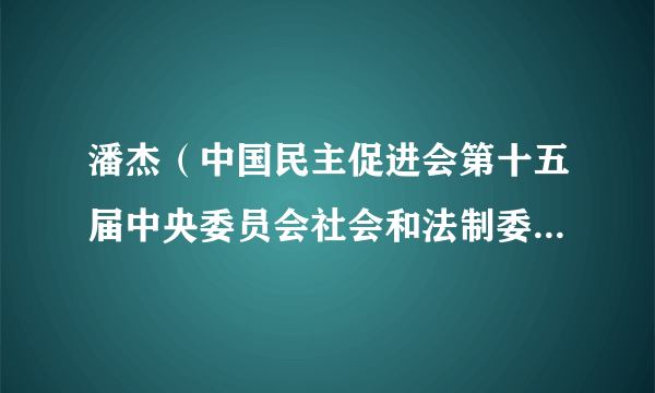 潘杰（中国民主促进会第十五届中央委员会社会和法制委员会委员）