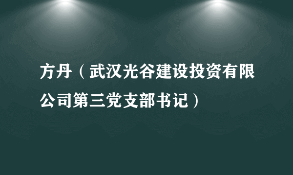 方丹（武汉光谷建设投资有限公司第三党支部书记）