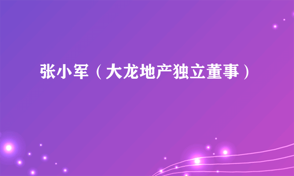 张小军（大龙地产独立董事）