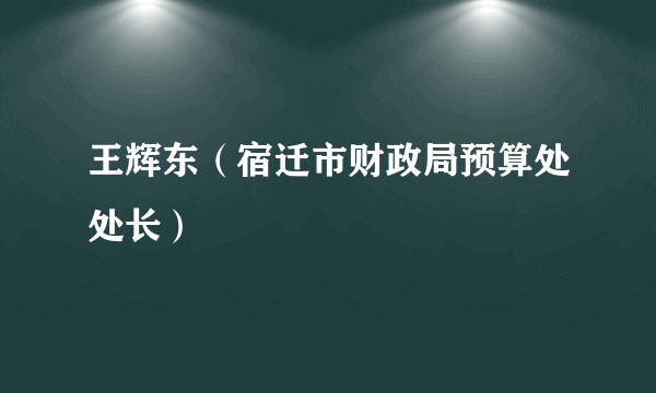 什么是王辉东（宿迁市财政局预算处处长）