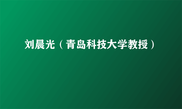 什么是刘晨光（青岛科技大学教授）