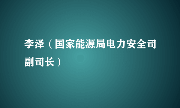 李泽（国家能源局电力安全司副司长）