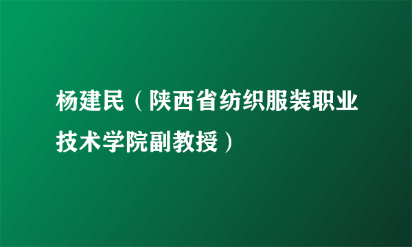 杨建民（陕西省纺织服装职业技术学院副教授）