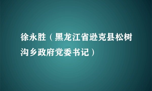 徐永胜（黑龙江省逊克县松树沟乡政府党委书记）