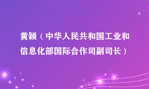 黄颖（中华人民共和国工业和信息化部国际合作司副司长）