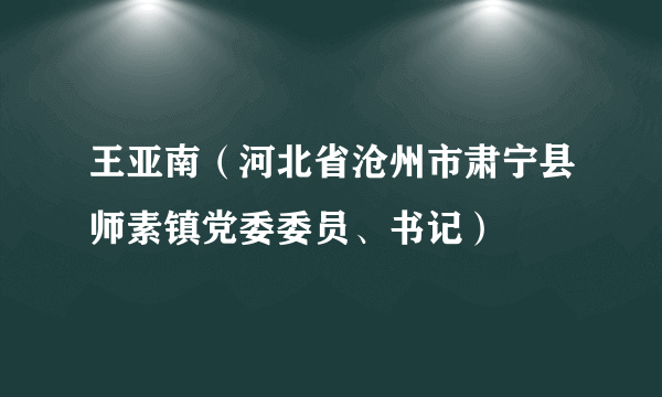 王亚南（河北省沧州市肃宁县师素镇党委委员、书记）