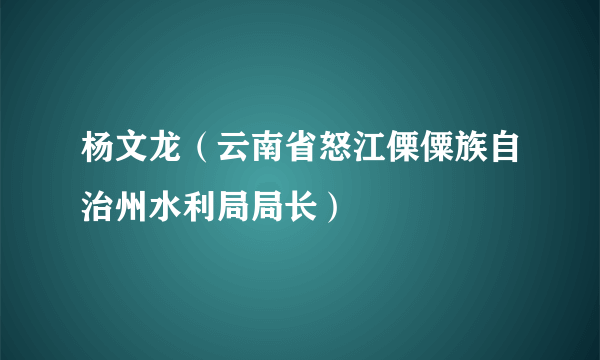 杨文龙（云南省怒江傈僳族自治州水利局局长）