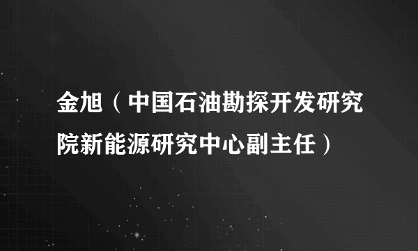 什么是金旭（中国石油勘探开发研究院新能源研究中心副主任）