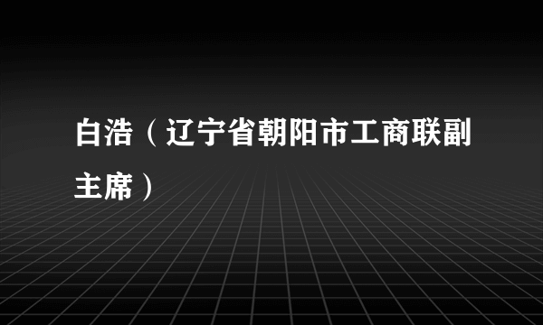 白浩（辽宁省朝阳市工商联副主席）