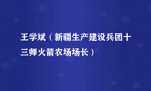 王学斌（新疆生产建设兵团十三师火箭农场场长）