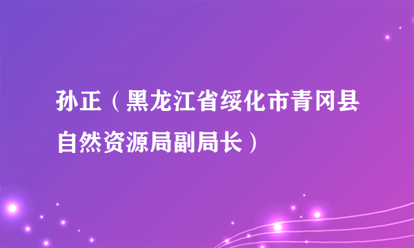 孙正（黑龙江省绥化市青冈县自然资源局副局长）