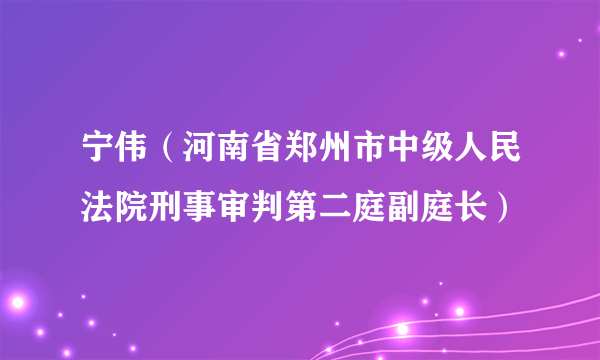 宁伟（河南省郑州市中级人民法院刑事审判第二庭副庭长）