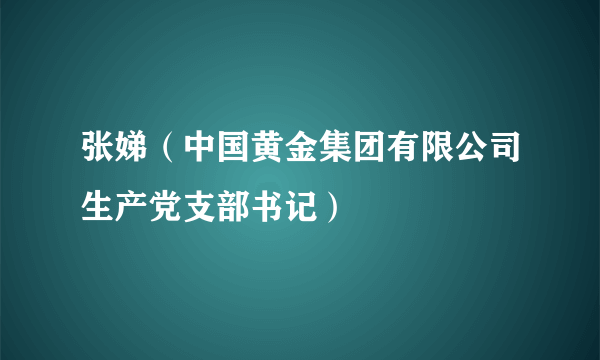 什么是张娣（中国黄金集团有限公司生产党支部书记）