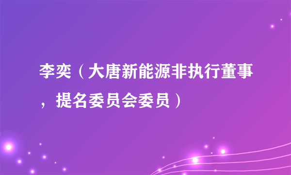 李奕（大唐新能源非执行董事，提名委员会委员）