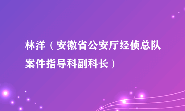 林洋（安徽省公安厅经侦总队案件指导科副科长）