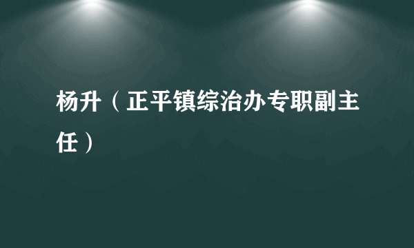 杨升（正平镇综治办专职副主任）