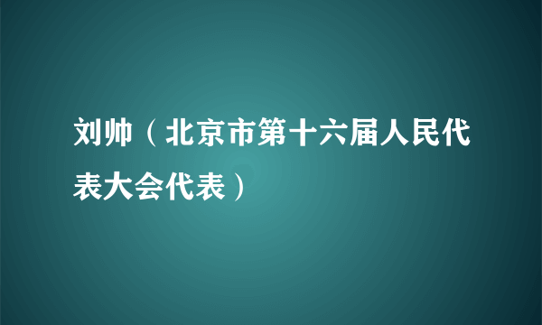 刘帅（北京市第十六届人民代表大会代表）