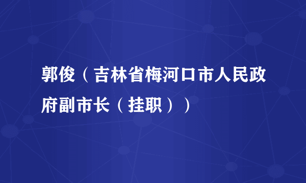 郭俊（吉林省梅河口市人民政府副市长（挂职））