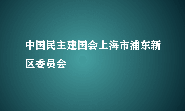 什么是中国民主建国会上海市浦东新区委员会