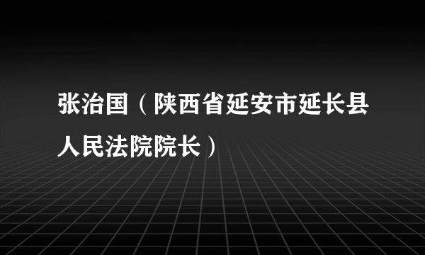 张治国（陕西省延安市延长县人民法院院长）