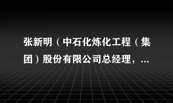 张新明（中石化炼化工程（集团）股份有限公司总经理，执行董事）