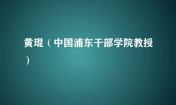 黄琨（中国浦东干部学院教授）