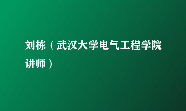 什么是刘栋（武汉大学电气工程学院讲师）